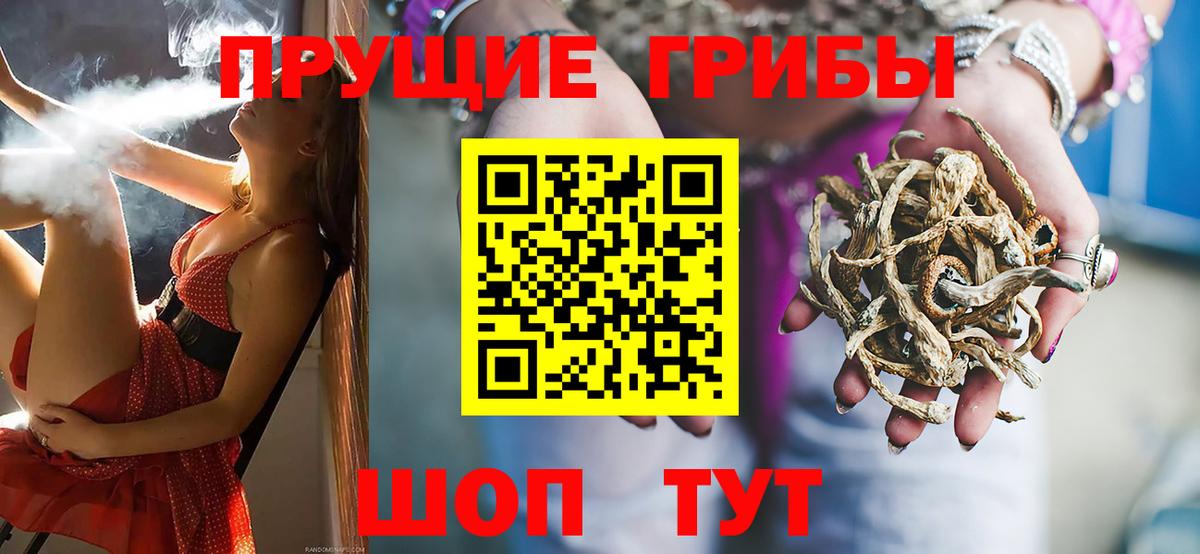 Воркута  Галлюциногенные грибы Cubensis  цены   Вход с VPN 