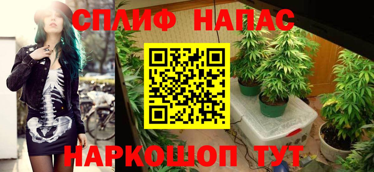 Канабис гибрид Воркута